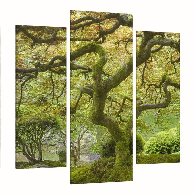 Obraz drzewo Zielony ogród japoński