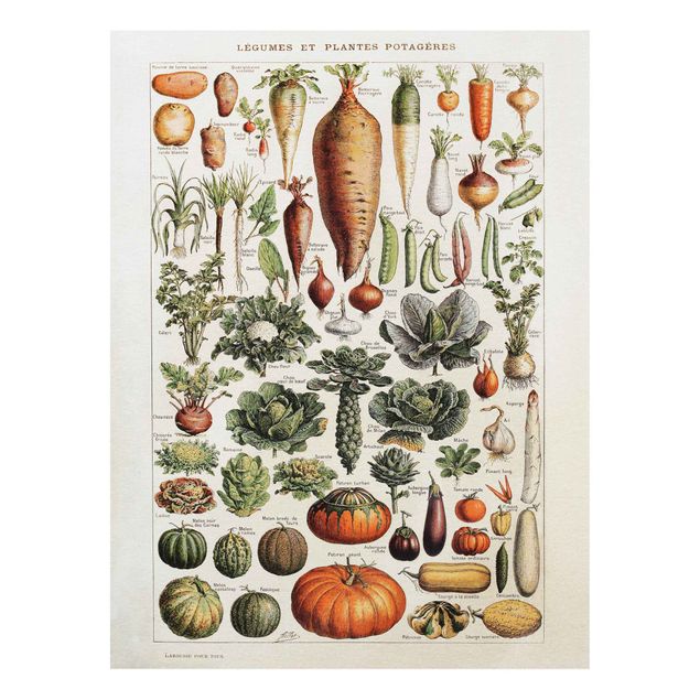 Dekoracja do kuchni Tablica edukacyjna w stylu vintage Warzywa