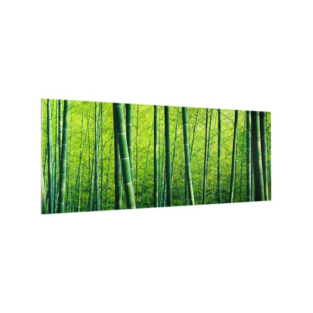 Panel szklany do kuchni - Las bambusowy