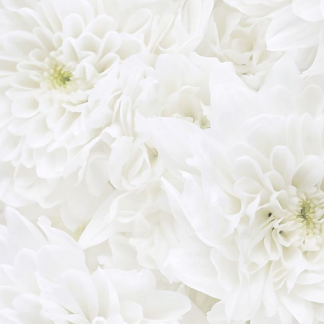 Folia samoprzylepna - Dahlie Morze kwiatów białe