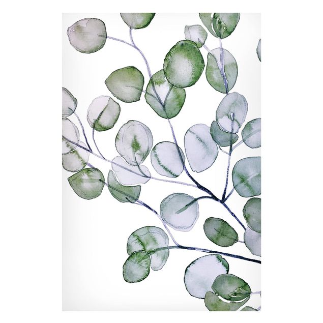 Obrazy do salonu Zielona akwarela Gałązka eukaliptusa