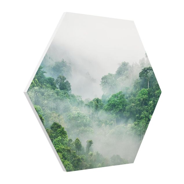 Drzewo obraz Dżungla we mgle
