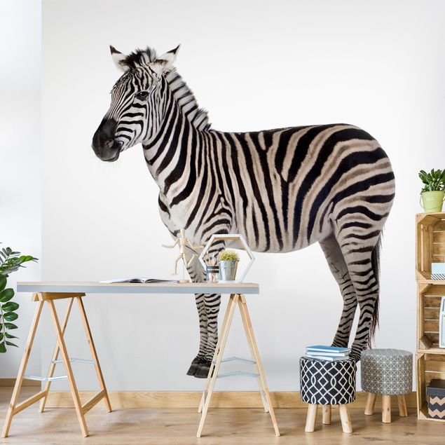 Dekoracja do kuchni Zebra gruba