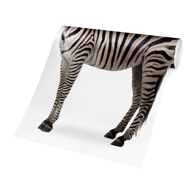 Fototapety Zebra gruba
