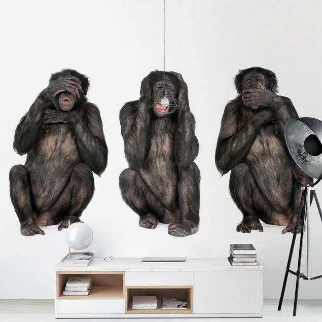 Fototapety Trzy mądre małpy