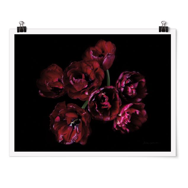 Obrazy z motywem kwiatowym Double tulips in red
