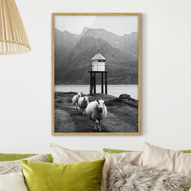 Dekoracja do kuchni Trzy owce na Lofotach