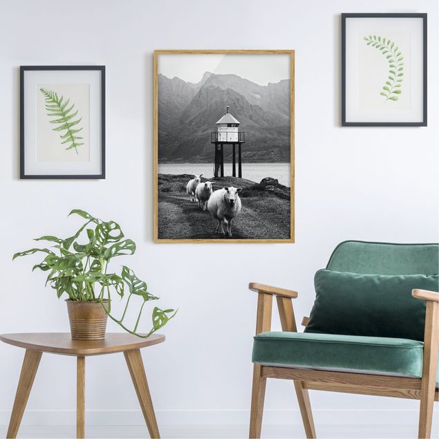 Obrazy w ramie do korytarzu Trzy owce na Lofotach