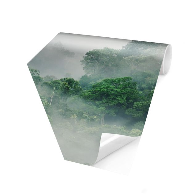 Fototapeta Dżungla we mgle