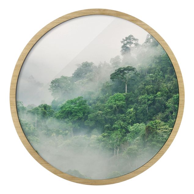 Obraz drzewo Jungle In The Fog