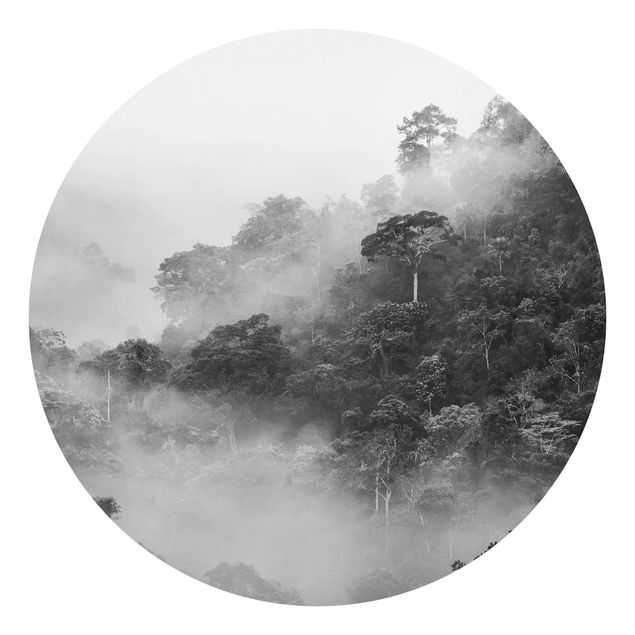 Fototapety Dżungla we mgle czarno-biały