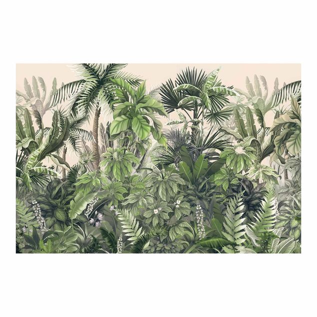 Fototapeta - Jungle Plants In Green
