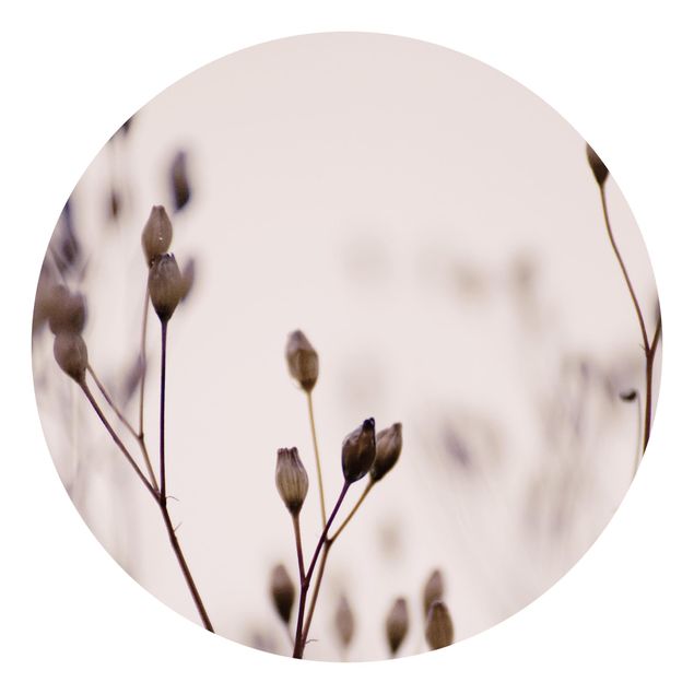 Okrągła tapeta samoprzylepna - Ciemne pąki na gałęzi dzikiego kwiatu