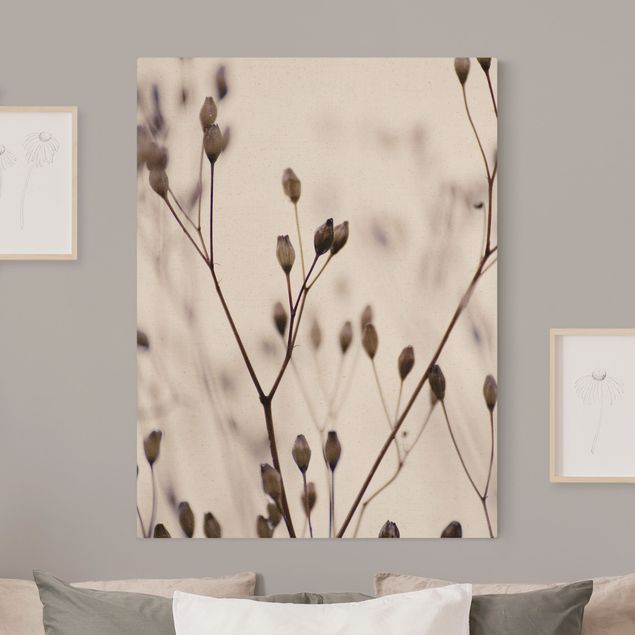 Obrazy do salonu nowoczesne Ciemne pąki na gałęzi dzikiego kwiatu