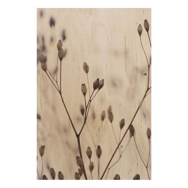 Obrazy na ścianę Ciemne pąki na gałęzi dzikiego kwiatu