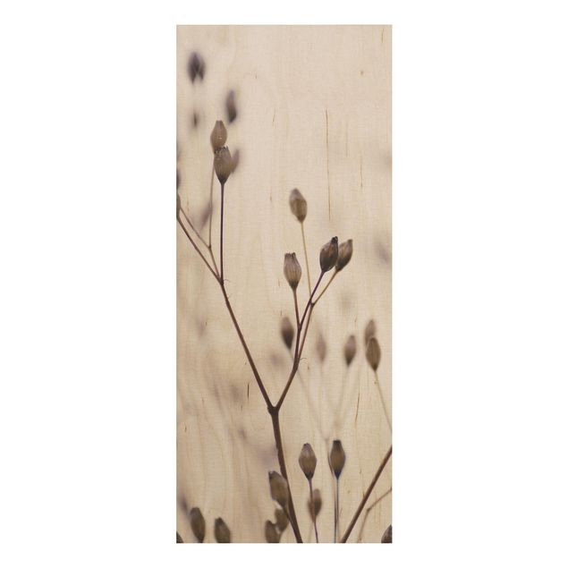 Obrazy na ścianę Ciemne pąki na gałęzi dzikiego kwiatu