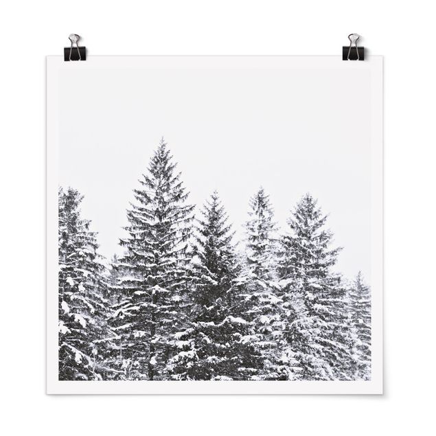 Obrazy drzewa Ciemny zimowy krajobraz