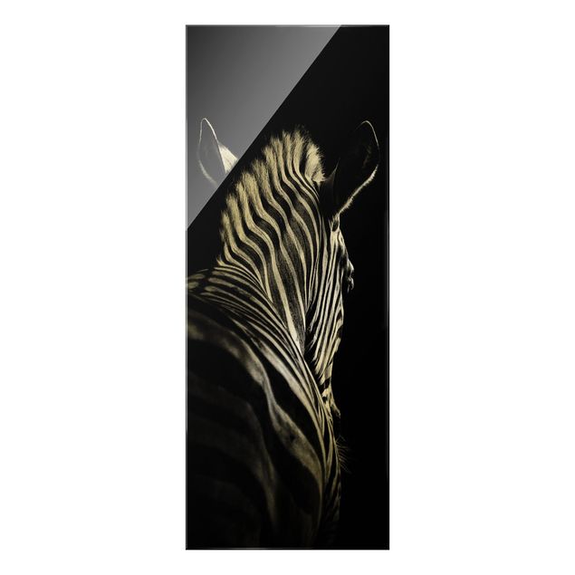 Obraz na szkle - Sylwetka zebry ciemnej