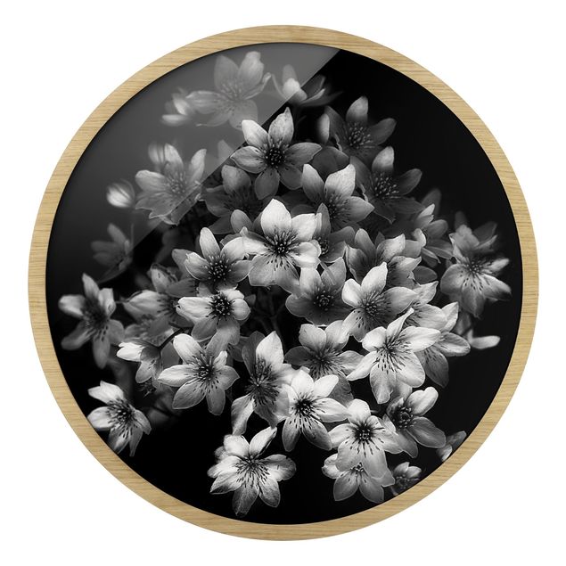 Obrazy motywy kwiatowe Dark Clematis Bouquet