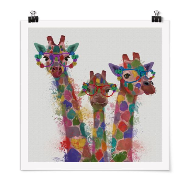 Zwierzęta obrazy Rainbow Splash Żyrafa Trio
