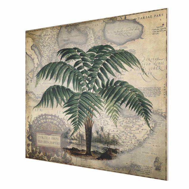 Nowoczesne obrazy Kolaż w stylu vintage - drzewo palmowe i mapa świata