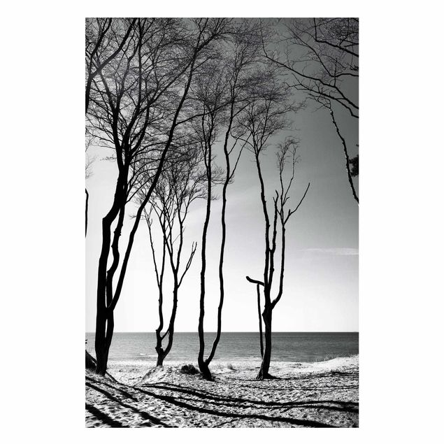 Obrazy do salonu Drzewa nad Morzem Bałtyckim