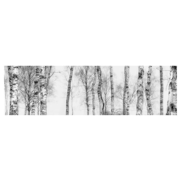 Panel ścienny do kuchni - Mistyczny las brzozowy czarno-biały