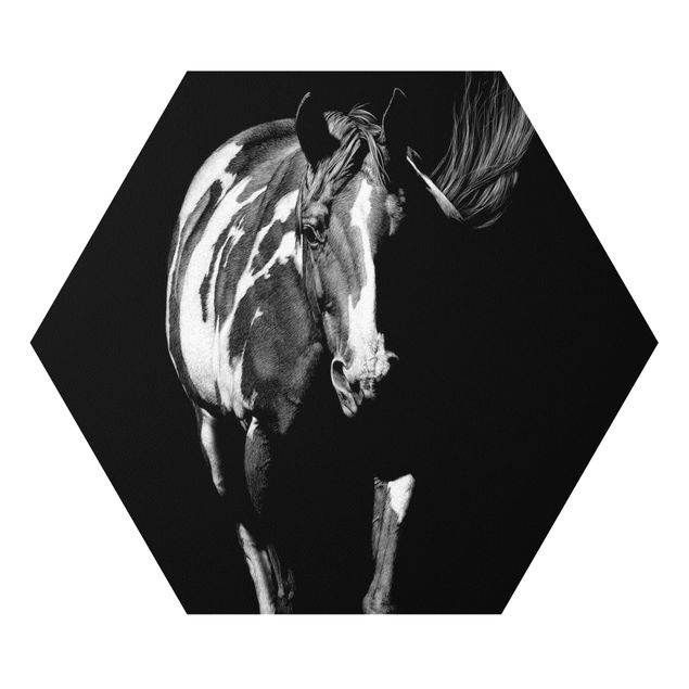 Obrazy ze zwierzętami Koń przed Czarnym