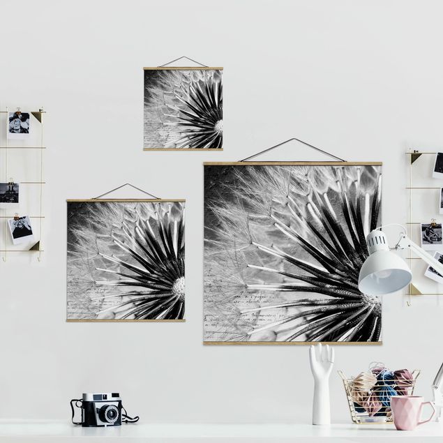 Czarno białe obrazki Dandelion czarno-biały