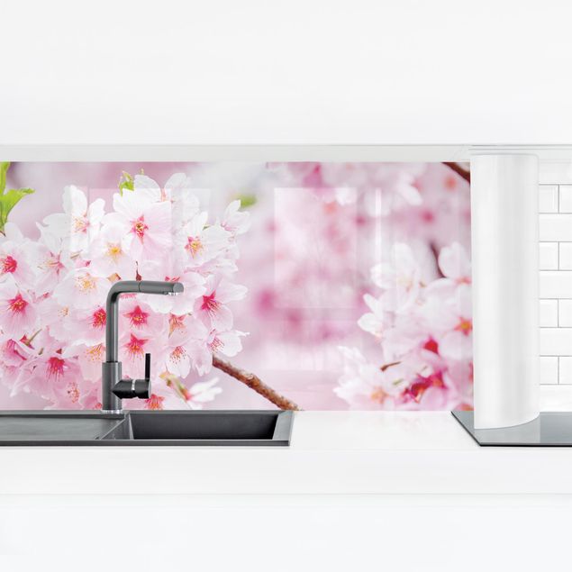 Panel ścienny do kuchni - Japońskie kwiaty wiśni