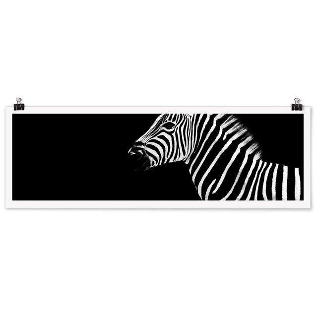 Zwierzęta obrazy Zebra Safari Art