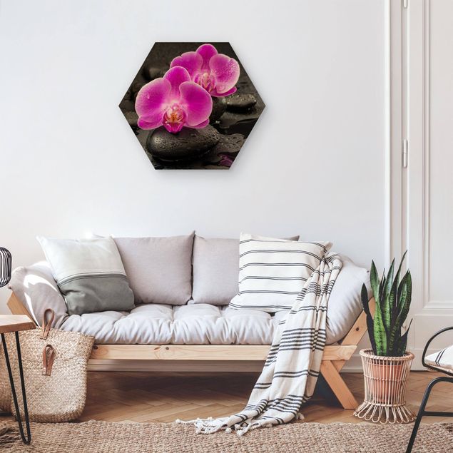 Obrazy do salonu nowoczesne Kwiaty różowej orchidei na kamieniach z kroplami