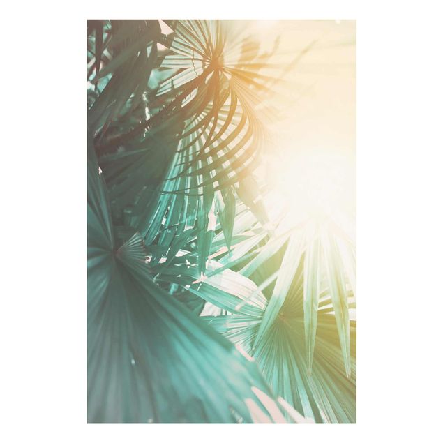 Obrazy do salonu Rośliny tropikalne Palmy o zachodzie słońca