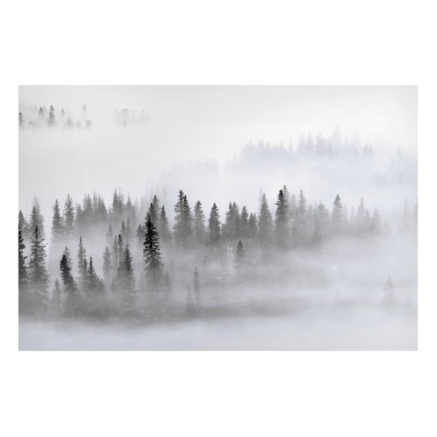 Obrazy do salonu Mgła w Puszczy Jodłowej Czarno-biała