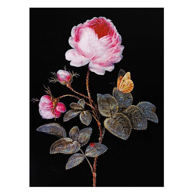 Nowoczesne obrazy do salonu Barbara Regina Dietzsch - Róża stulistna