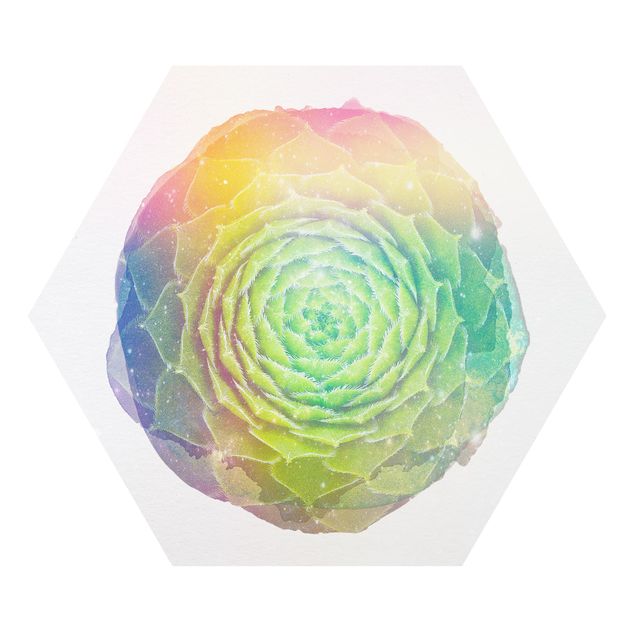 Obrazy z motywem kwiatowym Akwarele - Mandala sukulent