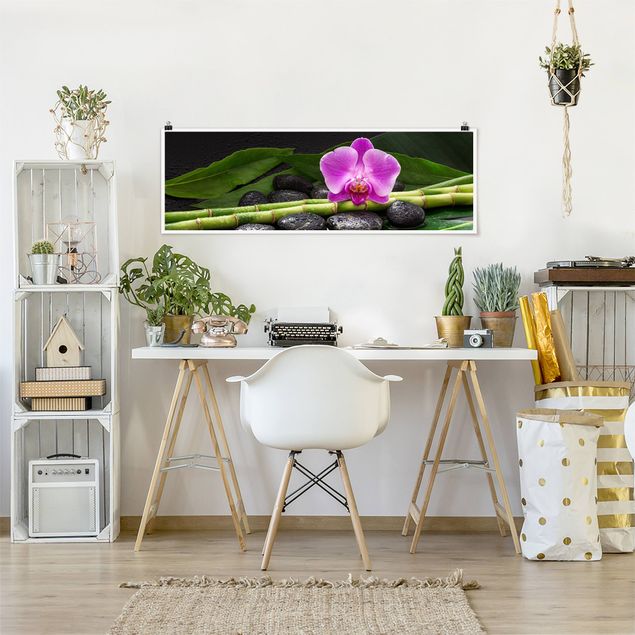 Obrazy do salonu Zielony bambus z kwiatem orchidei