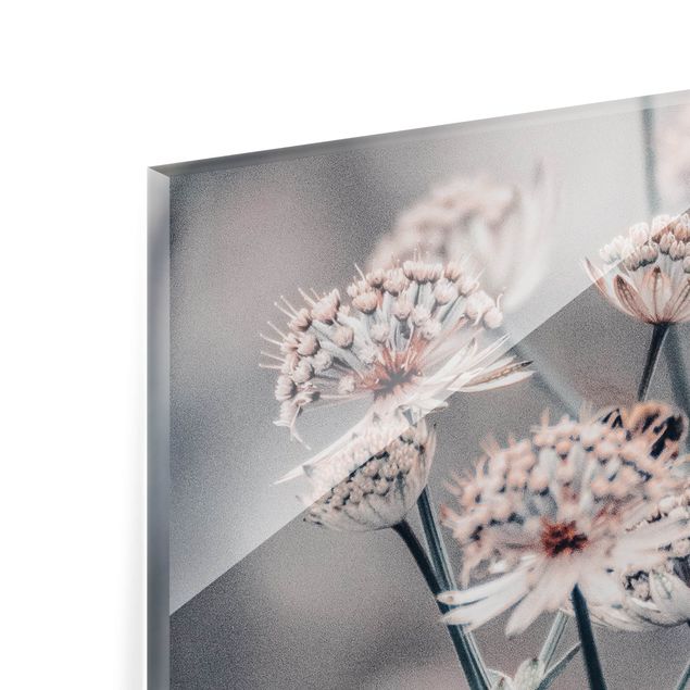 Panel szklany do kuchni - Mistyczna krzewinka kwitnąca