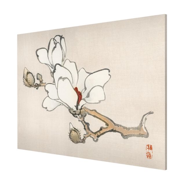 Obraz vintage Rysunki azjatyckie Vintage Magnolia biała