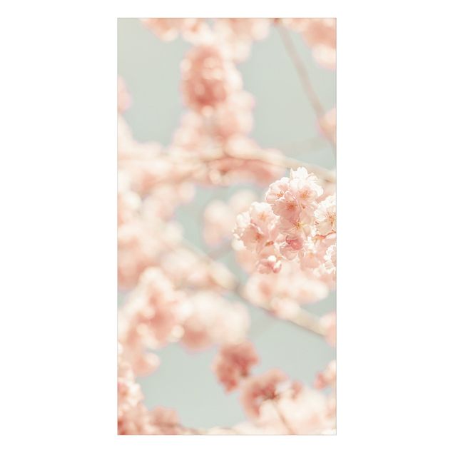 Tylna ścianka prysznicowa - Cherry Blossom Glow