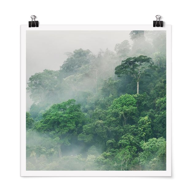 Obrazy nowoczesne Dżungla we mgle