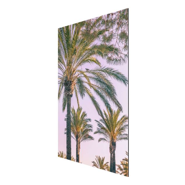 Nowoczesne obrazy Palmy w promieniach zachodzącego słońca