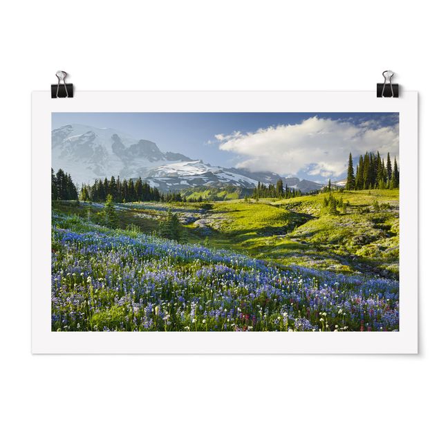 Obrazy góry Mountain Meadow With Blue Flowers in Front of Mt. Rainier