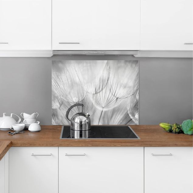 Panele szklane do kuchni Zdjęcie makro mniszka lekarskiego w czerni i bieli