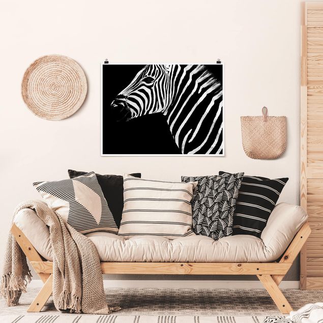 Nowoczesne obrazy Zebra Safari Art