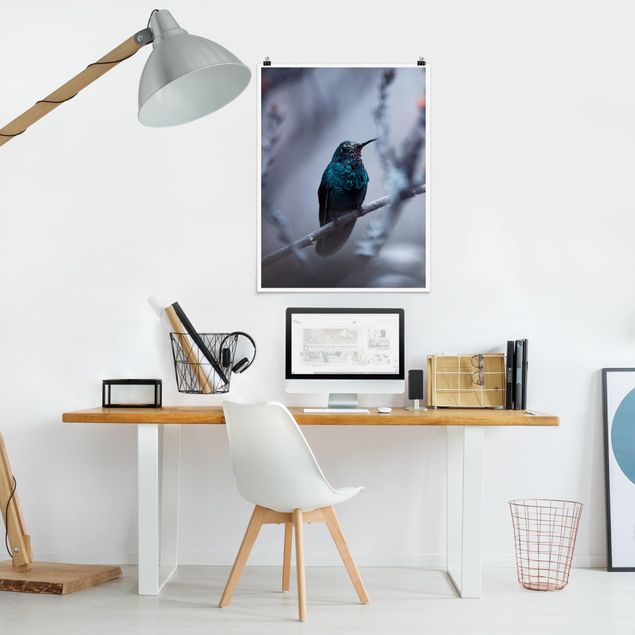 Obrazy nowoczesne Koliber w zimie