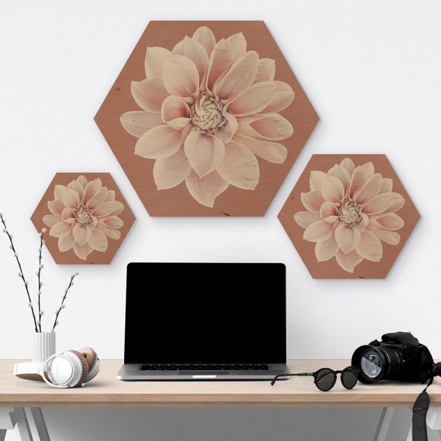 Obraz heksagonalny z drewna - Dahlia Beigerot różowa