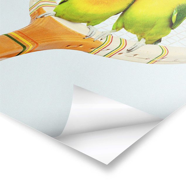 Plakaty ze zwierzętami Tenis z ptakami