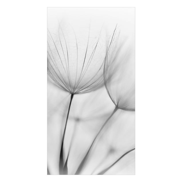 Tylna ścianka prysznicowa - Inside A Dandelion Black And White