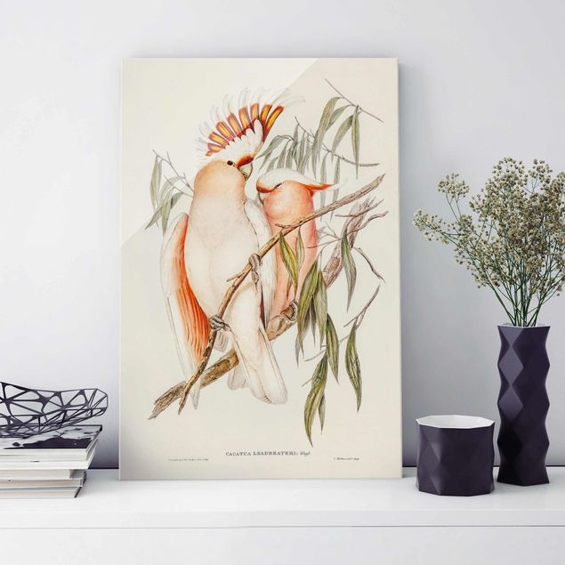 Dekoracja do kuchni Ilustracja w stylu vintage różowy kakadu